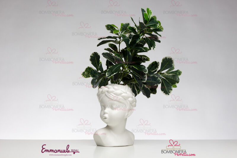 http://www.bombonieraperfetta.com/images/watermarked/1/detailed/28/A7901.jpg