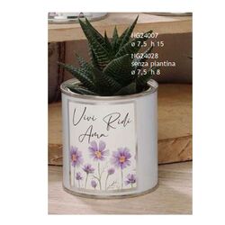 NG24007-Fleur-vasetto-con-piantina-fiori-lilla-frase-vivi-negò-bombonieraperfetta-emmanuelregali