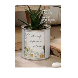 NG24008-Fleur-vasetto-con-piantina-margherita-frase-solo-negò-bombonieraperfetta-emmanueleregali