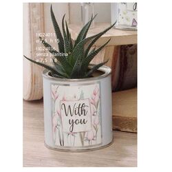 NG24011-Fleur-vasetto-con-piantina-Fiori-rosa-negò-bombonieraperfetta-emmanueelregali