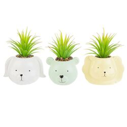 56413-piantina-animaletti-ass-lestelle-bombonieraperfetta-emmanueleregali