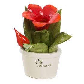 0160I_Bomboniere Le Profumotte assortite - Gli Alberelli_emmanueleregali_bombonieraperfetta