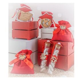 Serie-I-laureati-sacchetti-e-provette-lestelle-bombonieraperfetta-emmanueleregali