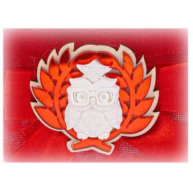 55489-sacchetto-laurea-2-ass-dec-lestelle-bombonieraperfetta-emmanueleregali