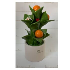 0912-Pianta-media-fiori-e-frutta-Arance-Gli-Alberelli-bombonieraperfetta-emmanueleregali