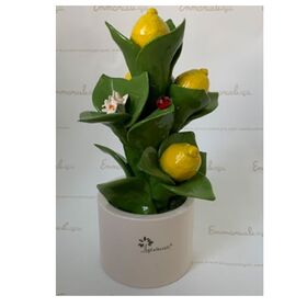 0912-Pianta-media-fiori-e-frutta-Limone-Gli-alberelli-bombonieraperfetta-emmanueleregali