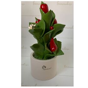 0912-Pianta-media-fiori-e-frutta-Peperoncino-Gli-alberelli-bombonieraperfetta-emmanueleregali