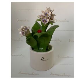 0913-Pianta-Natura-Medi-Fiori-5--gli-alberelli-bombonieraperfetta-emmanueleregali