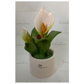 0913-Pianta-Natura-Media-Fiori-2--Gli-Alberelli-bombonieraperfetta-emmanueleregali