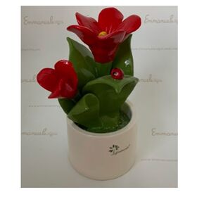 0913-Pianta-Natura-media-Fiori-7-Gli-ALberelli-bombonieraperfetta-emmanueleregalii