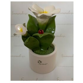 0913-Pianta-Natura-media-fiori-4-glialberelli-bombonieraperfetta-emmanueleregali