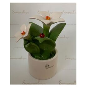 0913Pianta-Natura-media-fiori-1-Glialberelli-bombonieraperfetta-emmanueleregali