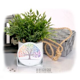 ALC-07-09-11-Garden-Albero-colore+vaso-da-7-cm-bianco-negò-bombonieraperfetta-emmanuelreregali