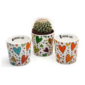 D6739-portapiantine-green-life-cuorematto-bombonieraperfetta-emmanueleregali