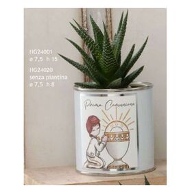 NG24001-Fleur-vasetto-con-piantina-calice-bimbo-dolcicose-bombonieraperfetta-emmanuelregali