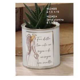 NG24005-Fleur-vasetto-con-piantina-Angelo-negò-bombonieraperfetta-emmanueleregali