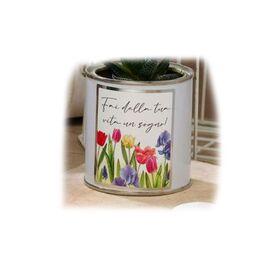 NG24026-Fleur-vasetto-senza-piantina-fiori-colorati-frase-fai-negò-bombonieraperfetta-emmanueleregali