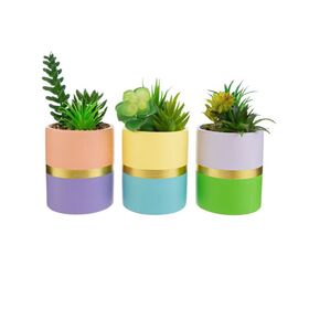 56050-vasetto-piantina-artificiale-lestelle-bombonieraperfetta-emmanueleregali